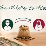 کیا شوہر اپنی بیوی کو اور بیوی اپنے شوہر کو زکوٰۃ دے سکتے ہیں؟